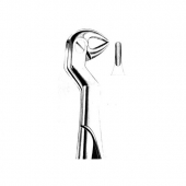 Wisdom Extracting Forceps
